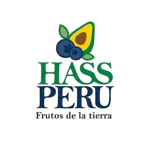 Logo Cliente